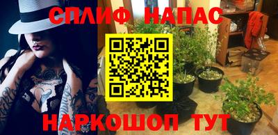 прущие грибы Пушкино