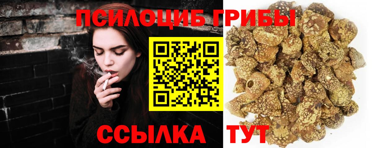 Галлюциногенные грибы Psilocybe  Вход с VPN  Сегежа  Галлюциногенные грибы ЛСД 