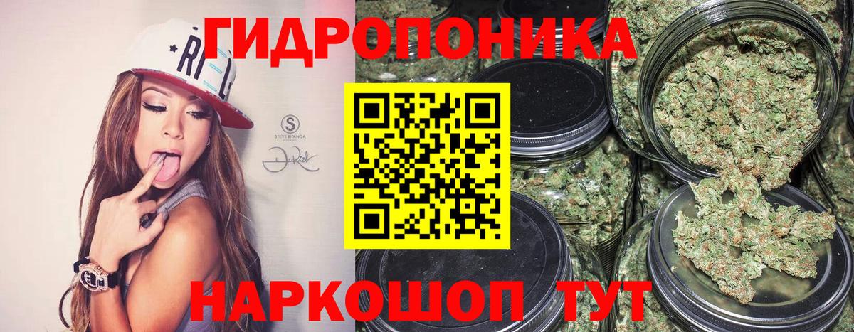 НБОМе  Вход с VPN  Канабис  Сегежа  ГАШИШ  Мефедрон кристаллы  Каннабис  Амфетамин кристаллы 